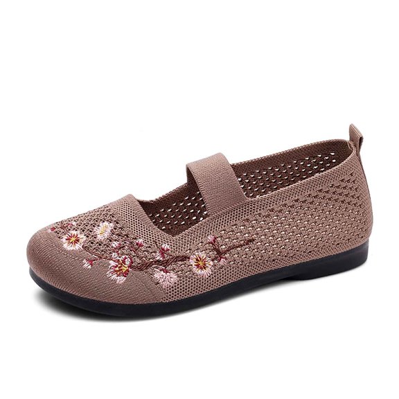 Xiaoxatg Stylish Women's Casual Shoes - Embroidered Flat Footwear for Everyday Comfort Breathable Design for All Seasons and Casual Attire 8.5 Coffee