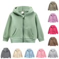 thumbnail image 1 of Xijirk Kids Toddler Girls Solid Thick Full Zip Hoodie with Protective Zipper Garage and Pockets for School and Daily Wear,3-4 Years, 1 of 4