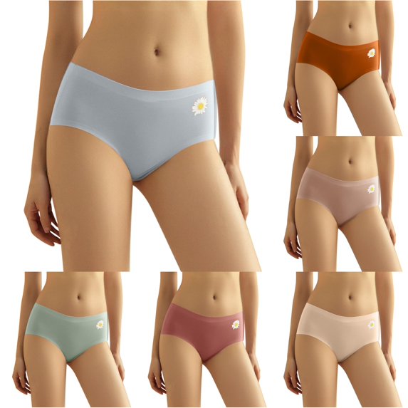 Xijirk Women's Mid Waist Brief Panties Seamless Ice Silk Underwear with Floral Print Soft Edge Band for Daily Sport Wear,Light Gray,XL