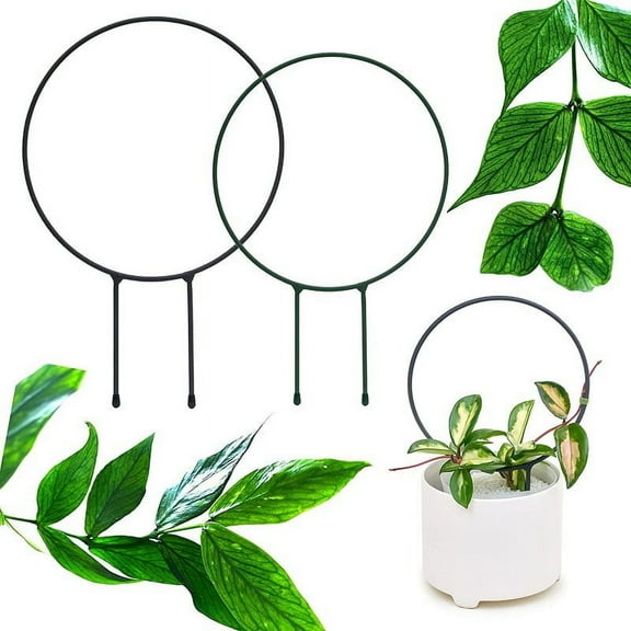 Xilong 24 x 18 Gold Iron Round Trellises (2 Count)