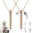 thumbnail image 1 of Xinmulight Pet Memorial Necklace Inlaid Rhinestone Jewelry Accessories Anit-rust Creative Pet Keepsake Ashes Urn Necklace Pet Supplies, 1 of 12