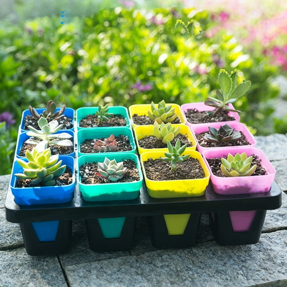 Xinwanna 10Pcs Square Plant Pot Nursery Transplanting Planter Container Garden Basket(White)
