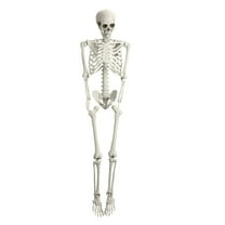 Xinwanna 67" Halloween Skeleton Decorations Halloween Poseable Skeleton Plastic Halloween Human Full Body Bones Skeleton Life Size Skeletons Skull for Haunted House Props Indoor Outdoor Decoration