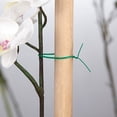 thumbnail image 1 of Xinyolin 1000Pcs Plant Ties Flexible Releasable Plastic Waterproof Flower Wires for Garden, 1 of 7