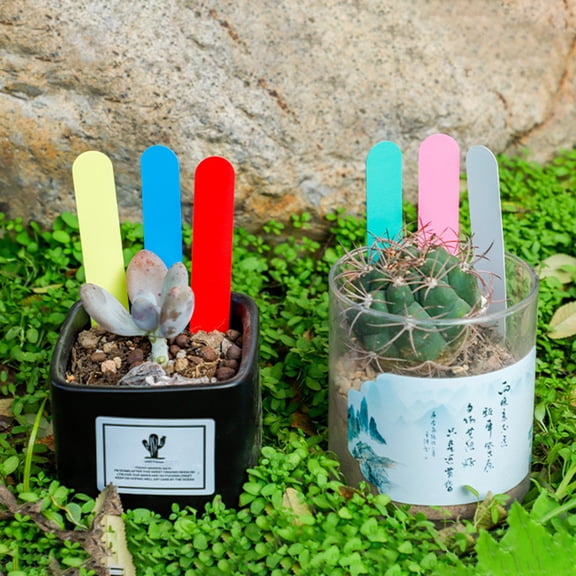 Xinyolin 100Pcs/Bag Horticultural Ground Sign Easy to Write Waterproof with Hole Nursery Tray Round Head Succulent Plants Plant Label Garden Supply