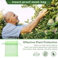 thumbnail image 1 of Xinyolin 100Pcs Insect proof Mesh Bags Drawstring Closure Good Breathability Prevent Insect Grape Peach Fruit Bags Fruit Net Pouch Vegetable Cover Bag, 1 of 8