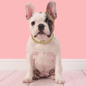 Xirurus Golden Pet Dog Collar Necklace Jewelry Accessories for Teddy French Bulldog Small Medium Dogs 5.9 inches / 15 cm Length Fashion Plastic Link Chain