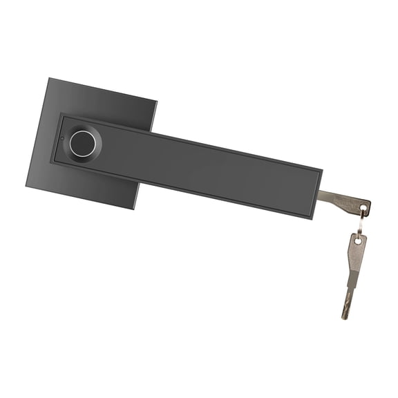 Xirurus Smart Fingerprint Door Lever Lock Square Keyless Entry Keypad Handle with USB Emergency Charge and Backup Keys for Home Bedroom Hotel Office, Black