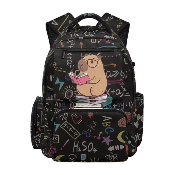 Xixirimido Capybara Fomulas 17inch Backpack for Kids Multi-pocket School Bag for Boys Large Capacity Bookbag for Preschool Kindergarten Elementary Students