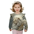 thumbnail image 1 of Xixirimido Lion Print Ruffle Shoulder Toddler Girls Sweatshirt Long Sleeve Graphic Pullover Top Soft Crewneck Sweater Fall Winter Wear, for 2-3T, 1 of 7