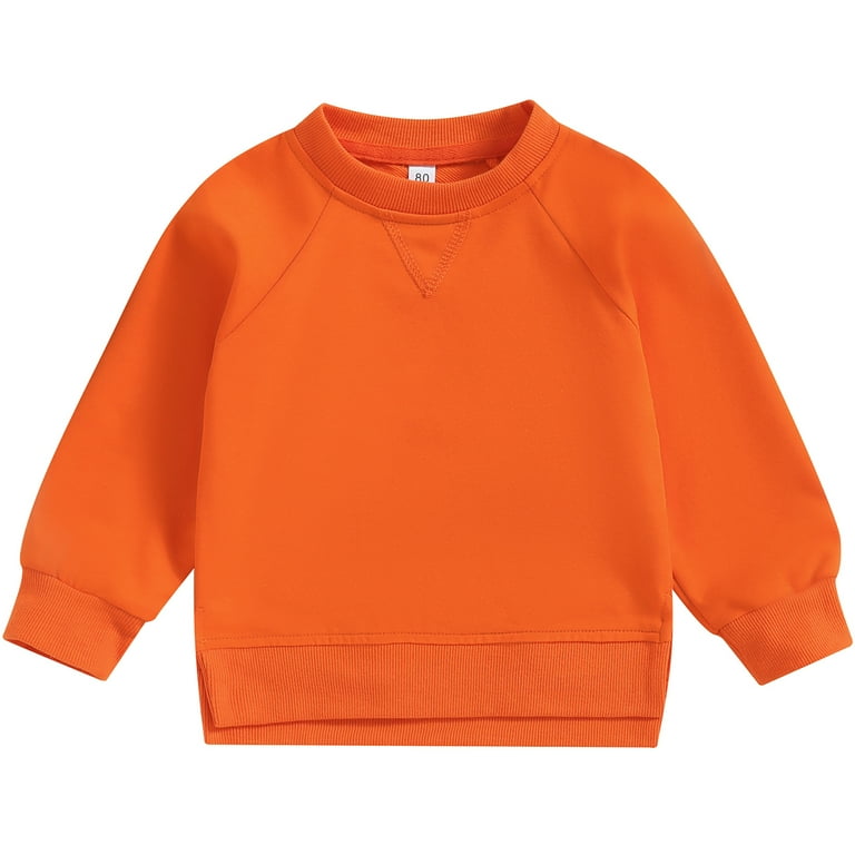 Carhartt baby sweatshirt discount