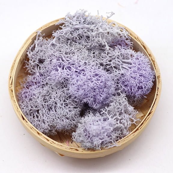 Xloro Artificial Moss for Potted Plants and Terrariums Preserved Reindeer Fake Moss for DIY Crafts Floral Projects and Table Centerpiece Decoration (1Pack 10g)