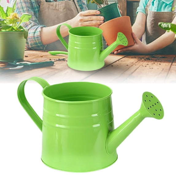 Xloro Metal Watering Can with Long Spout and Handle Durable Sprinkling Can for Indoor Outdoor Plants Garden Flower Lawn Watering Tool Decor (1Pc 9.6"x4.5")