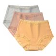 thumbnail image 1 of Xmarks Ladies High-rise Panties Cotton Lace Oversized Waist-cinching Briefs Light Panties, 1 of 7