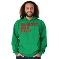 thumbnail image 1 of Xmas Bearded and Jolly Hashtag Santa Men's Big & Tall Graphic Hoodie Brisco Brands 2X, 1 of 3