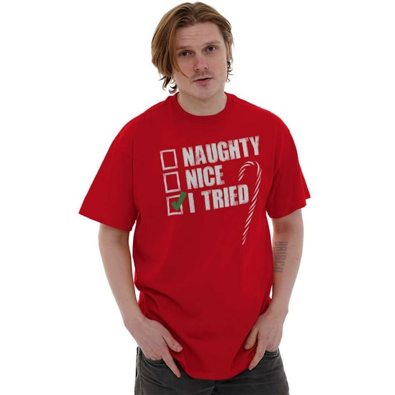 Xmas Checklist Naughty Nice Tried Plus Size Crewneck Graphic Tee Shirt Brisco Brands 3X