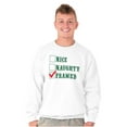 thumbnail image 1 of Xmas Naughty Nice Framed Checklist Unisex Plus Size Sweatshirt Brisco Brands 5X, 1 of 6