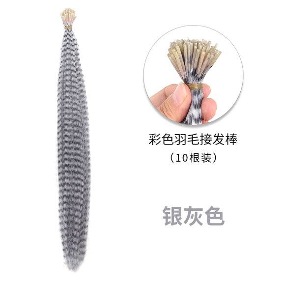XmhyTop 100 Pcs 15.8in Hair Feather Extensions for Women, Long Straight Synthetic, with 100 Silicone-Lined Micro Rings, Crochet Hook & Plier for Cosplay Party, Silver-Gray