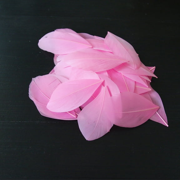 XmhyTop-A 100 Pcs Craft Feathers Soft Decorative Plumes for DIY Arts, Crafts & Home Decor Bulk Feathers for Crafting,1.96-3.14inch,C11