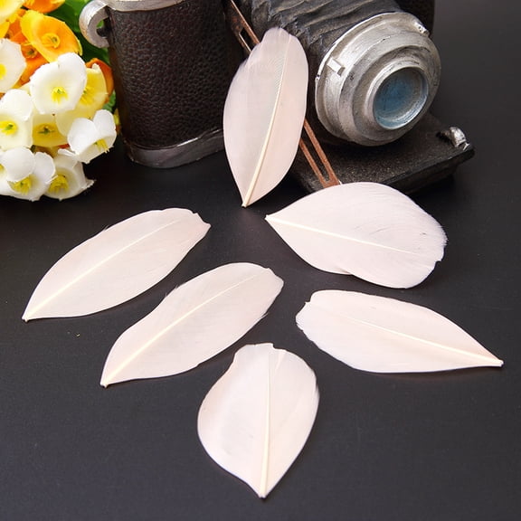 XmhyTop-A 100 Pcs Craft Feathers Soft Decorative Plumes for DIY Arts, Crafts & Home Decor Bulk Feathers for Crafting,1.96-3.14inch,C19