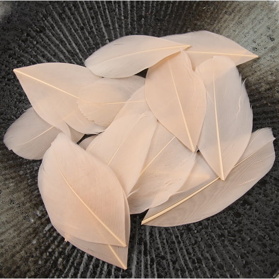 XmhyTop-A 100 Pcs Craft Feathers Soft Decorative Plumes for DIY Arts, Crafts & Home Decor Bulk Feathers for Crafting,1.96-3.14inch,C27
