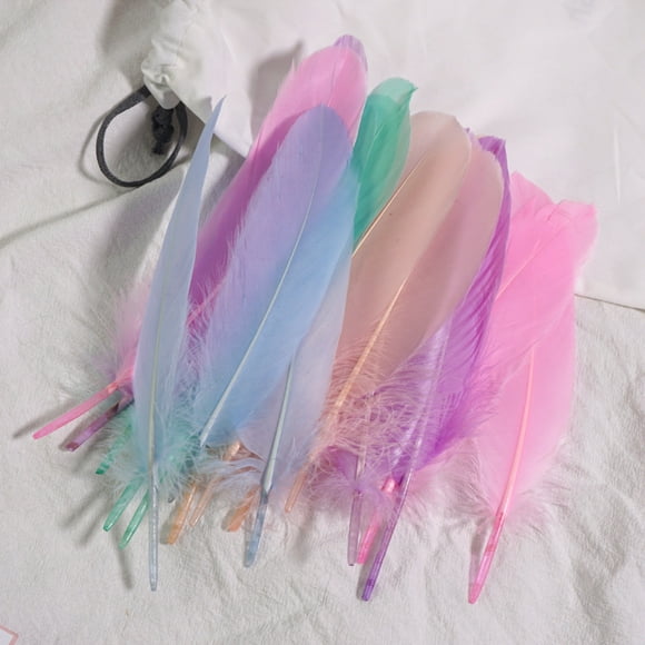 XmhyTop-A 100 Pieces Feathers Lightweight & Flexible, Perfect for Elegant Home Decor, Handmade Greeting Cards & Boho Accessories-01 Multicolour