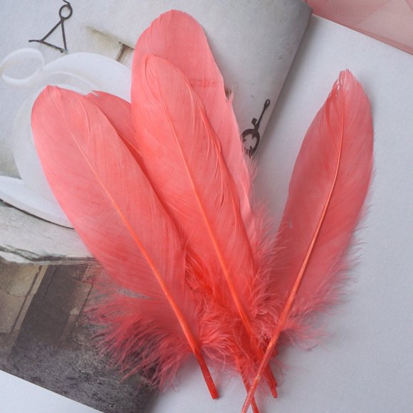 XmhyTop-A 100 Pieces Feathers Lightweight & Flexible, Perfect for Elegant Home Decor, Handmade Greeting Cards & Boho Accessories-Light Red