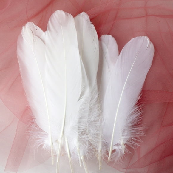 XmhyTop-A 100 Pieces Feathers Lightweight & Flexible, Perfect for Elegant Home Decor, Handmade Greeting Cards & Boho Accessories-White