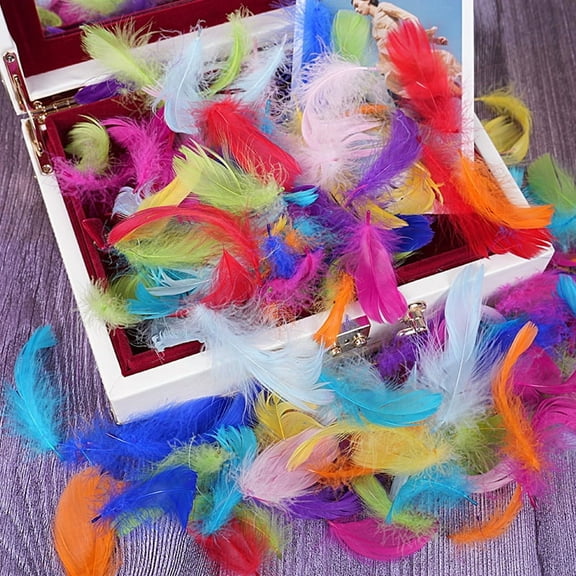 XmhyTop-A 100PCS Fake Goose Craft Feathers - Soft, Natural-Look Feathers for DIY Arts, Decor & Crafts-02 Multicolour