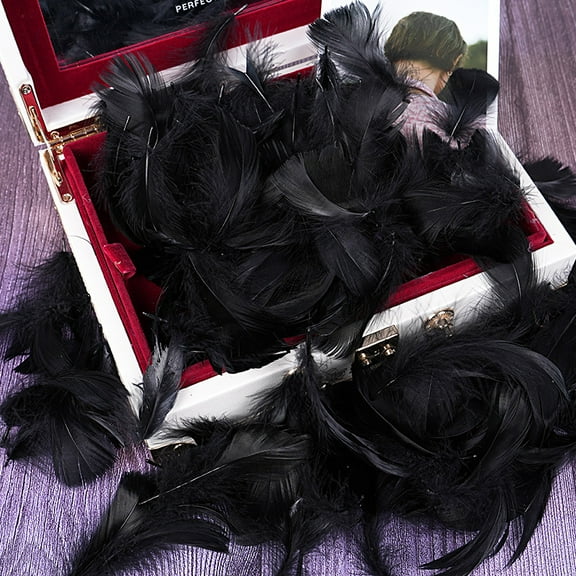 XmhyTop-A 100PCS Fake Goose Craft Feathers - Soft, Natural-Look Feathers for DIY Arts, Decor & Crafts-Black