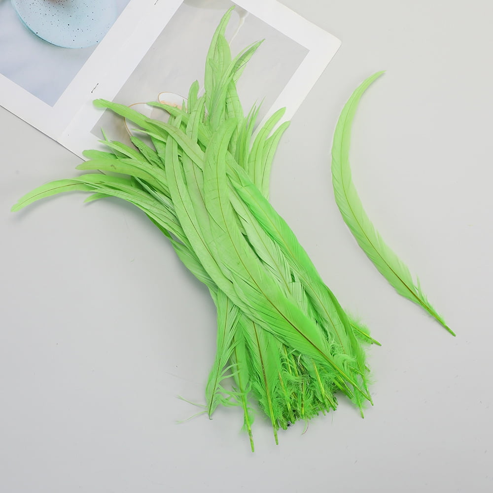XmhyTop-A 100pcs Rooster Tail Feathers 30-35cm for DIY Crafts, Costume Performance Decorations,Craft Feathers,Light Green