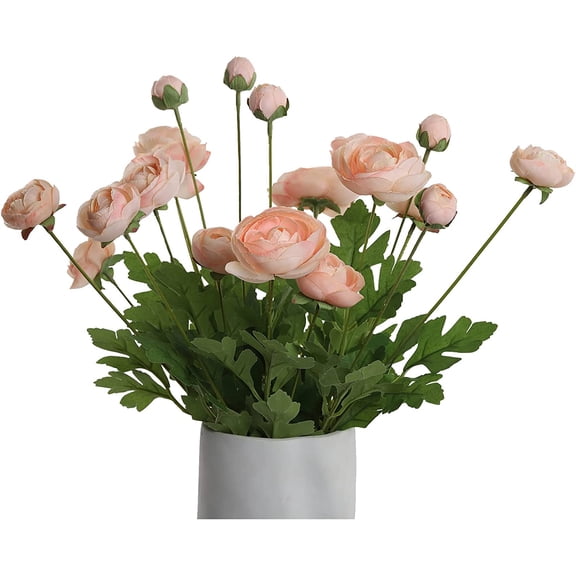 XmhyTop-A Artificial Persian Peach Silk Flowers Buttercup (Asian Buttercup 5 Bundles),Suitable for Core Decorations,Weddings,Homes,Artistic Decorations,and Props (Champagne)