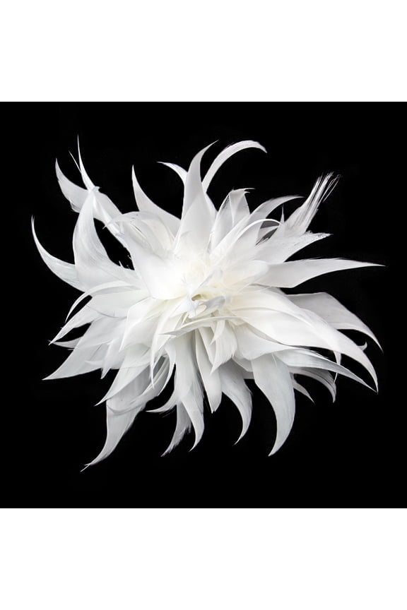 -A Brooches Pins Feather Hair Clip, Feather Brooch, Hair Brooch, Hat Pin, Party Hair Accessories for Daily Styling & Festive Outfits-2 pcs,White