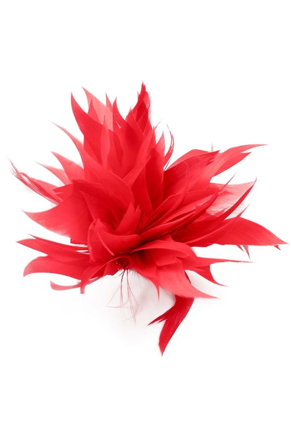 -A Brooches Pins Feather Hair Clip, Feather Brooch, Hair Brooch, Hat Pin, Party Hair Accessories for Daily Styling & Festive Outfits-2 pcs,Red