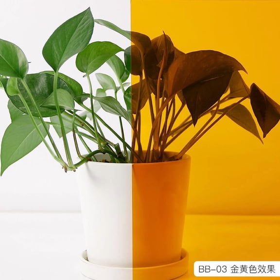 XmhyTop-A Window Films 50*100cm 1 Piece PET Window Film, Decorative Window Film for Home Office Bathroom Glass Door Privacy Holiday Decoration,Gold Yellow