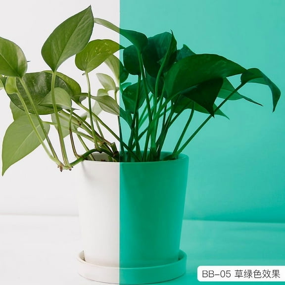 XmhyTop-A Window Films 50*100cm 1 Piece PET Window Film, Decorative Window Film for Home Office Bathroom Glass Door Privacy Holiday Decoration,Green