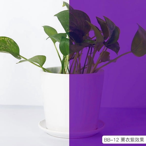 XmhyTop-A Window Films 50*100cm 1 Piece PET Window Film, Decorative Window Film for Home Office Bathroom Glass Door Privacy Holiday Decoration,Purple