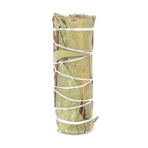 XmhyTop Smudge Sticks 4" Inch Smudge Incense Sticks for Cleansing House Negative Energy Other Smudging Rituals-Eucalyptus
