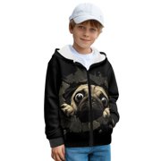 Xoenoiee 3D Pug Dog Print Fleece Zip Hoodies Sweatshirt for Teen Boys Long Sleeve Activewear Kids Pullover Hoody Sweatshirts with Pockets for Fall/Spring Clothing Vacation Sports, L