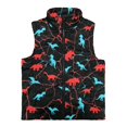 thumbnail image 1 of Xoenoiee Dinosaur Print Sleeveless Outerwear Warm Fleece Vest for Boys Kids Zipper Coats with Pockets Winter Spring Fall Jacket Jogging Yoga Fleece Vest, Size 2T, 1 of 7
