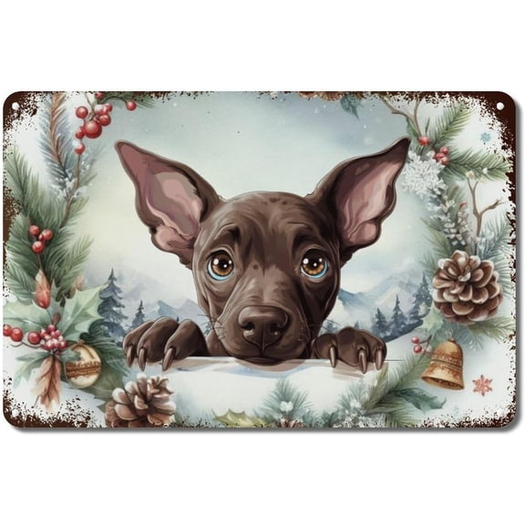 Xoloitzcuintli Aluminum Metal Sign 12x8in Xoloitzcuintli Cute Funny Peeking Dog Puppy Funny Signs Outdoor Wall Decor Retro Metal Plaque Pet Memorial for Home Office Bar Coffee Shop