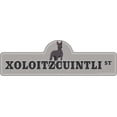 thumbnail image 1 of Xoloitzcuintli Street Sign | Indoor/Outdoor | Dog Lover Funny Home Décor for Garages, Living Rooms, Bedroom, Offices | SignMission personalized gift | 18" Wide, 1 of 5