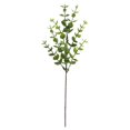 thumbnail image 1 of Xoxingysm Artificial Flowers Artificial Green Plants Leaves Plastic Plants Leaves Home Outdoor and Wedding Decoration Ornaments, Eucalyptus Money Leaf *1, 1 of 4