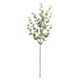 thumbnail image 1 of Xoxingysm Artificial Flowers Artificial Green Plants Leaves Plastic Plants Leaves Home Outdoor and Wedding Decoration Ornaments, Eucalyptus Money Leaf *1, 1 of 5