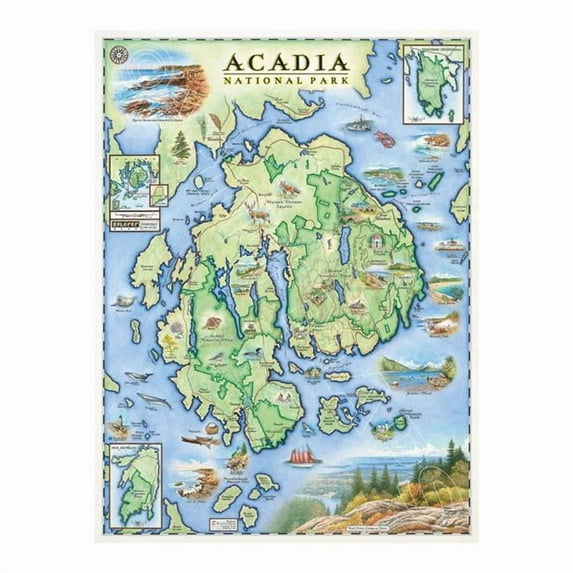 Xplorer Maps MAP_ACNP Acadia National Park Hand-Drawn Map