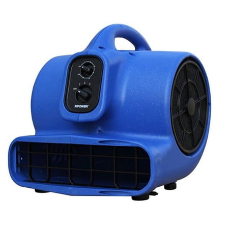 Xpower 1/3 HP Professional Blower / Dryer with Filter Kit And Timer