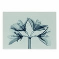 thumbnail image 1 of Xray Flowers Cutting Board, Blossoming Amaryllis Flower Radiogram Print, Decorative Tempered Glass Cutting and Serving Board, in 3 Sizes, by Ambesonne, 1 of 5