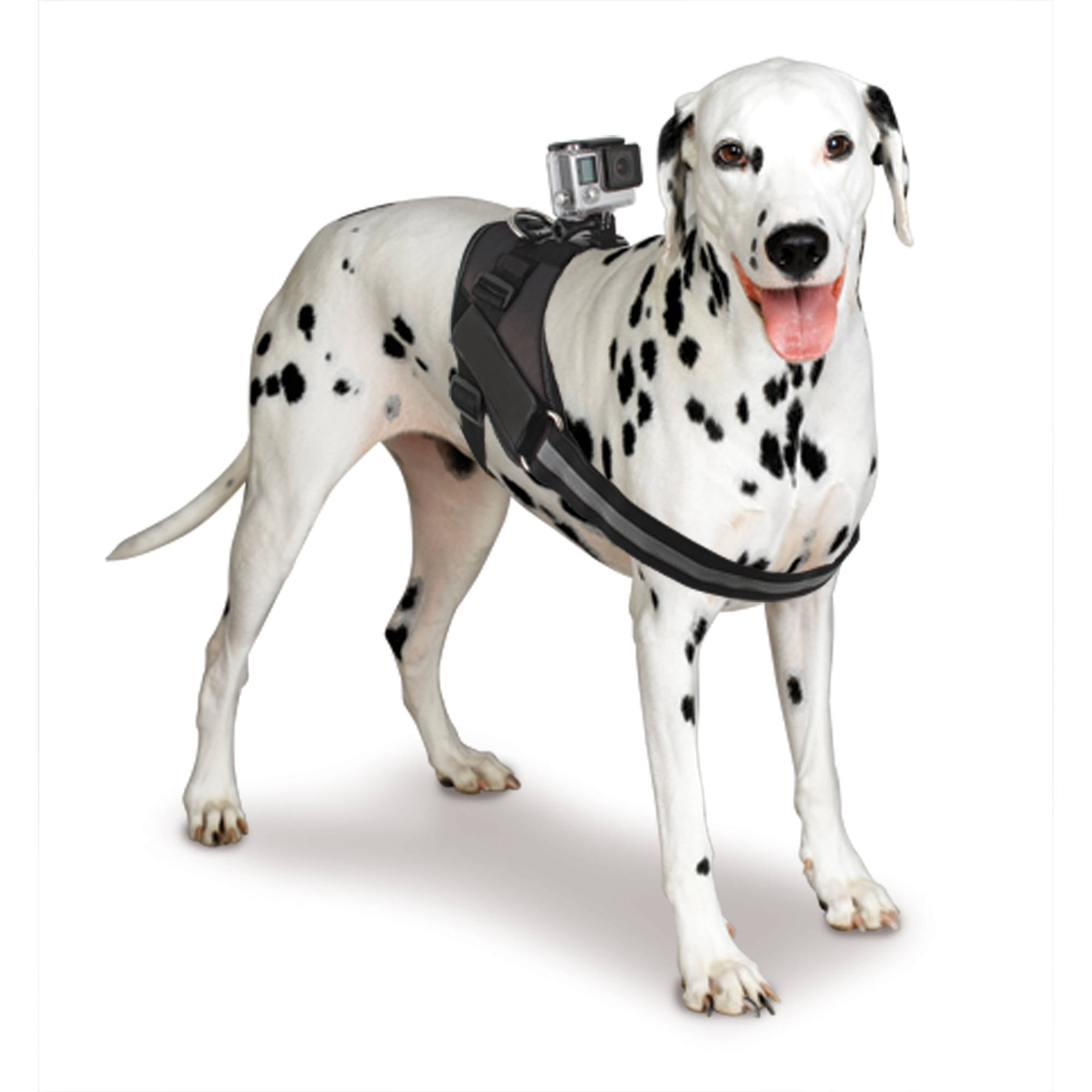 Gopro dog harness mount cheap