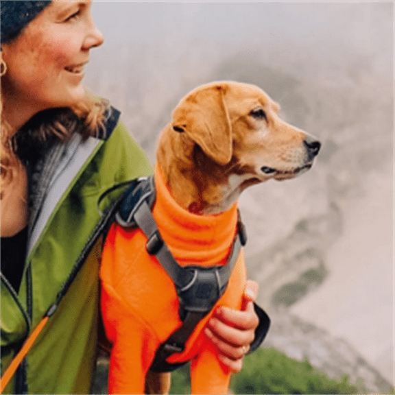 Xtreme Tape Retractable Dog Leash for Large Dogs Upto 121 lbs.  26 ft., Orange/Black | Tangle Free Pet Walking Leash with One-Handed Brake, Pause, Lock | German Quality Product