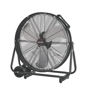 24 Fan